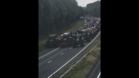 Dutch farmers putting up a united front against the government’s measures