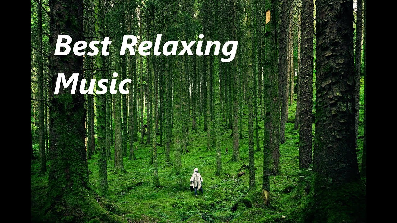 Best Relaxing Sleep Music • Deep Sleeping Music, Relaxing Music, Stress Relief, Meditation Music