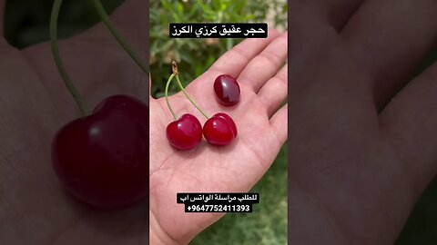 حجر عقيق كرزي الكرز