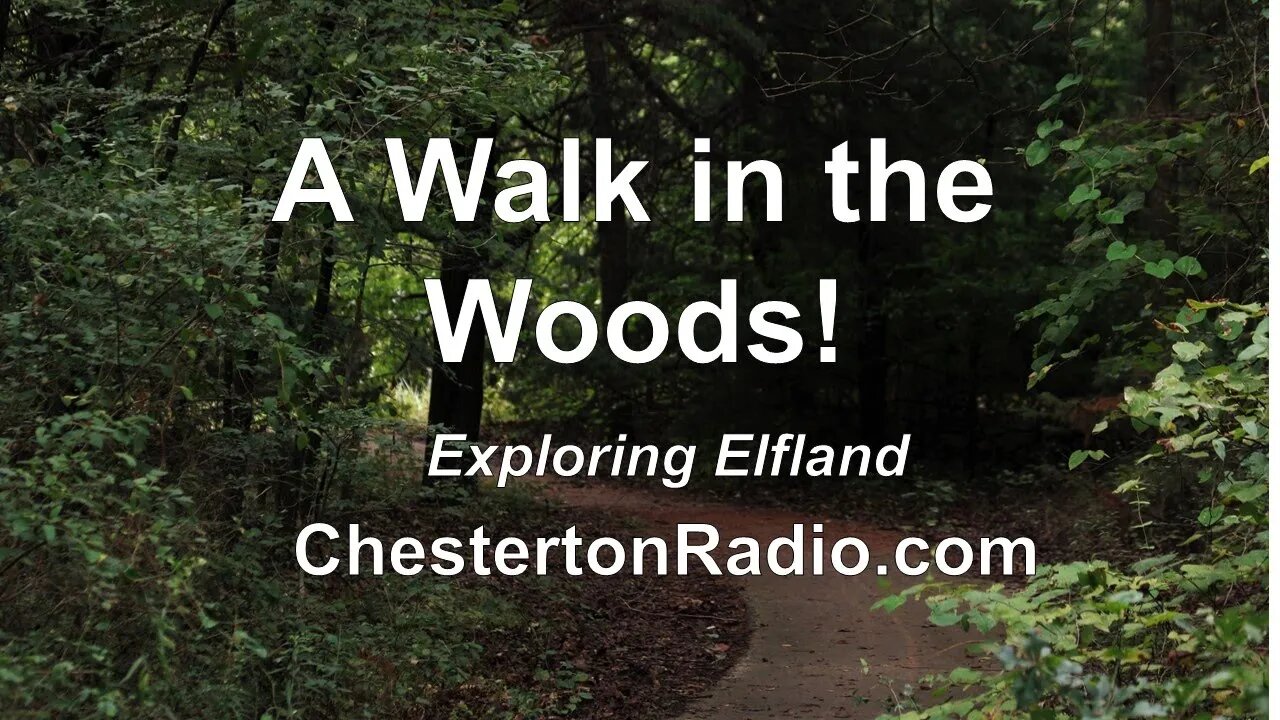 A Walk in the Woods - Exploring Elfland