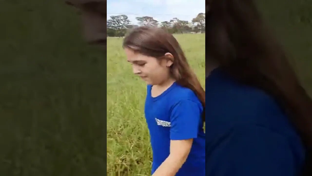 De repente um papagaio em cima da mesa falando...