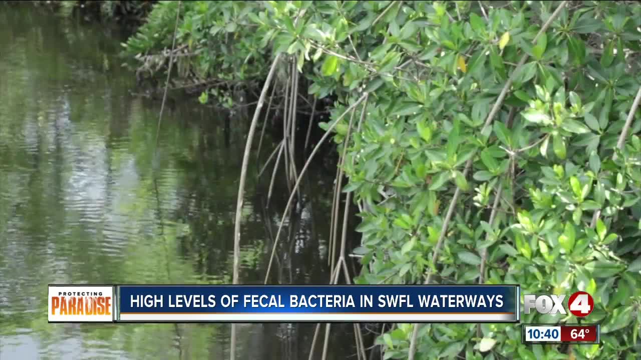 High levels of fecal bacteria found in Estero waterways