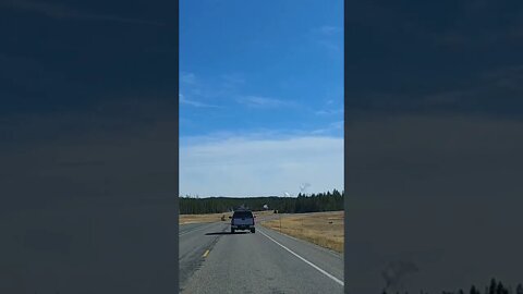 Driving in Yellowstone