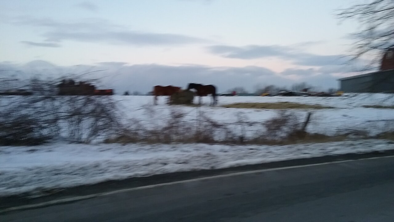 L👀KING FOR PEACE AND TRUTH ❓️ 7/28/22