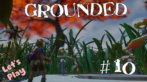 Let's Play | Grounded | #10