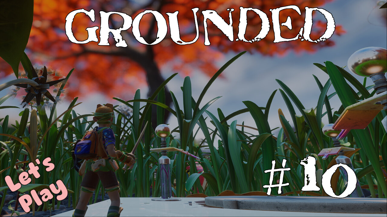 Let's Play | Grounded | #10