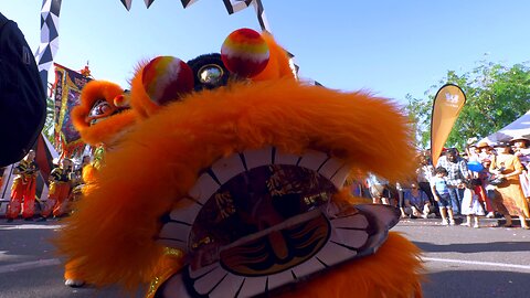 Lion Dance Yaolin Perth Chinese New Year Fair CNY Australia