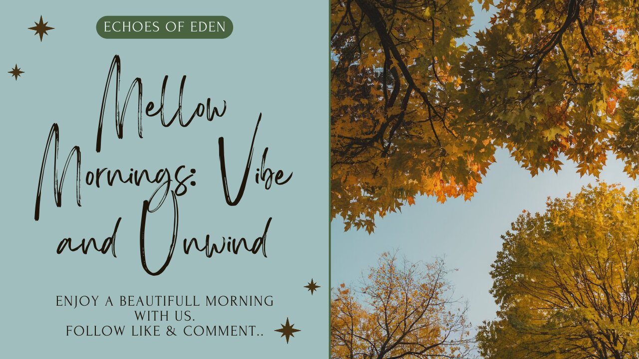 Mellow Mornings: Vibe and Unwind