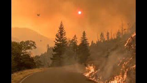 Driving Through Wild Fire