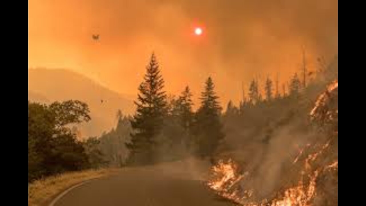 Driving Through Wild Fire