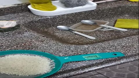 Cirurgia bariátrica arroz e feijão escolha