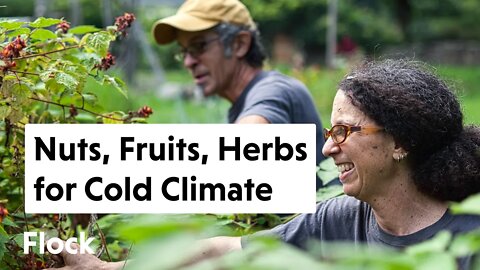 70+ More COLD-HARDY Fruits, Nuts, Herbs, and Ornamentals Tour — Ep. 066