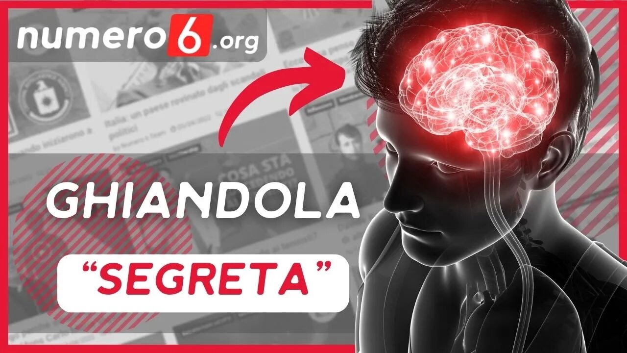 Ghiandola Pineale: non stai sfruttando al 100% la tua mente