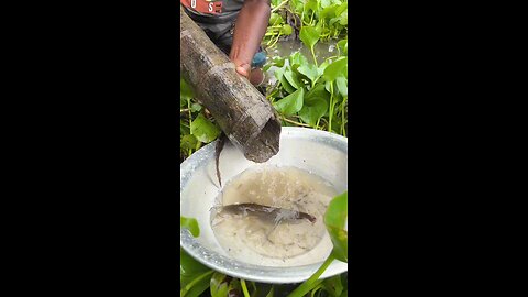 Unique Fishing traps. How to catch fish in primitive way. 