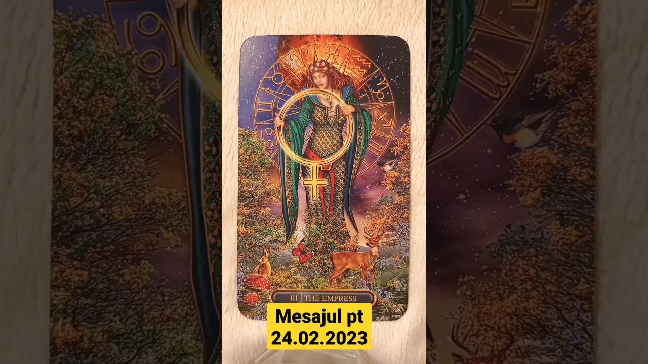 #zodii #mesajulzilei #tarotreading