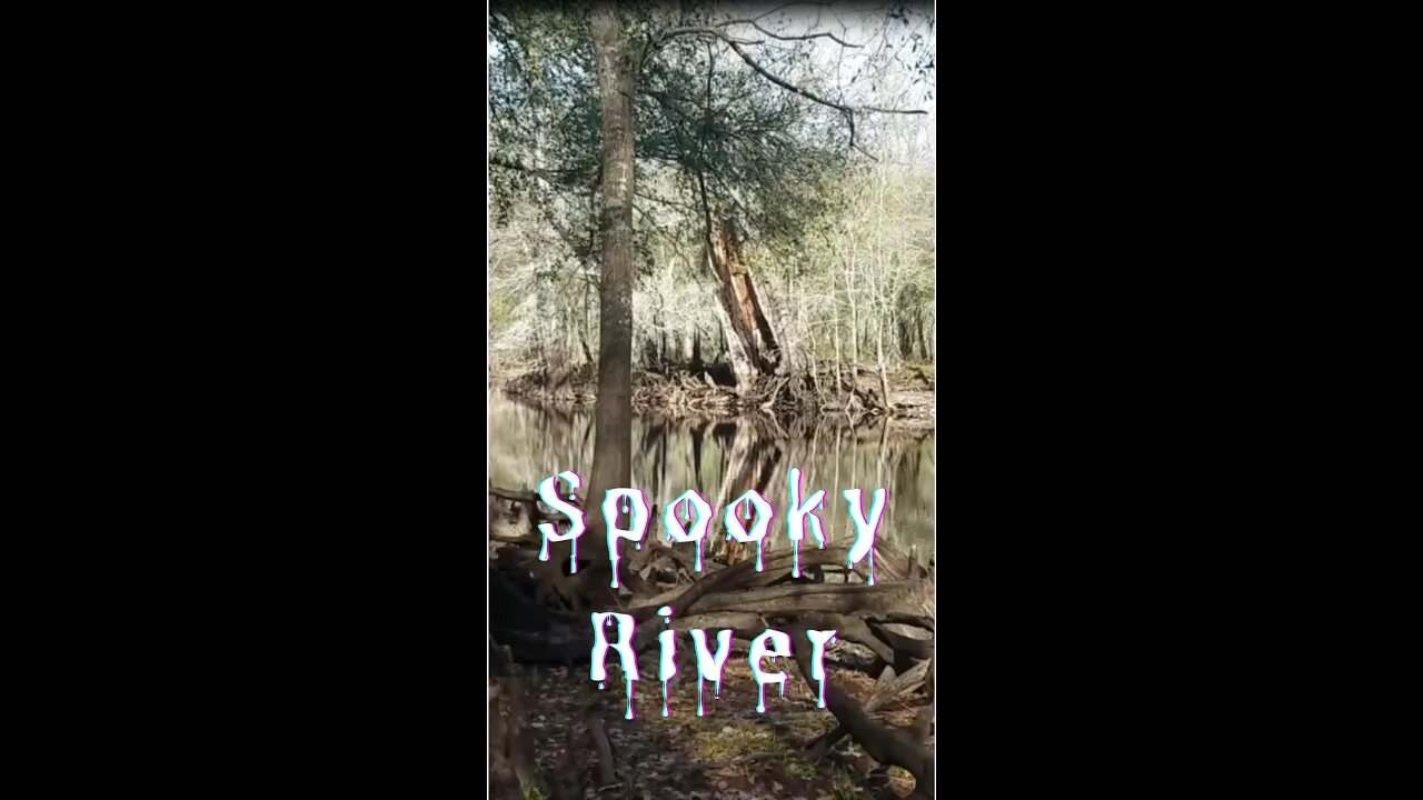 Jeep XJ Withlacoochee Spooky River in Central Florida Cool Place #shorts