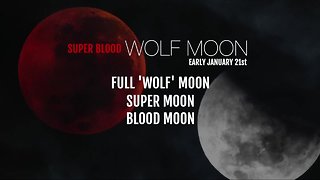 Rare 'super blood wolf moon' will happen in January