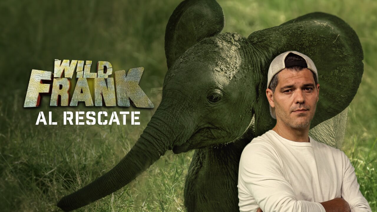 Wild Frank || DOCUMENTAL