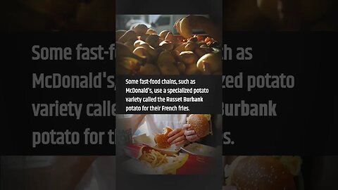 French Frie Fun Facts 🍟 #fries #facts #fun #factoids frites