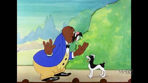Merrie Melodies - Hamateur Night (1939)