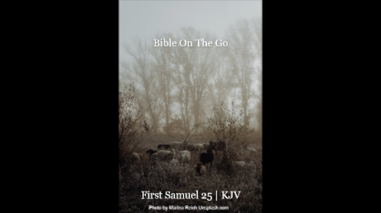 1 SAMUEL 25 | KJV