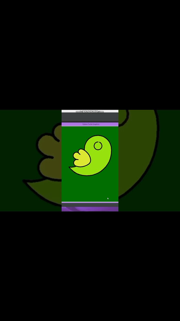 How to draw a bird in python using python-turtle