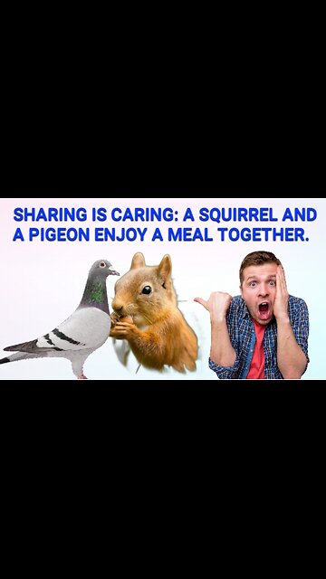 A pigeon and a squirrel eating together