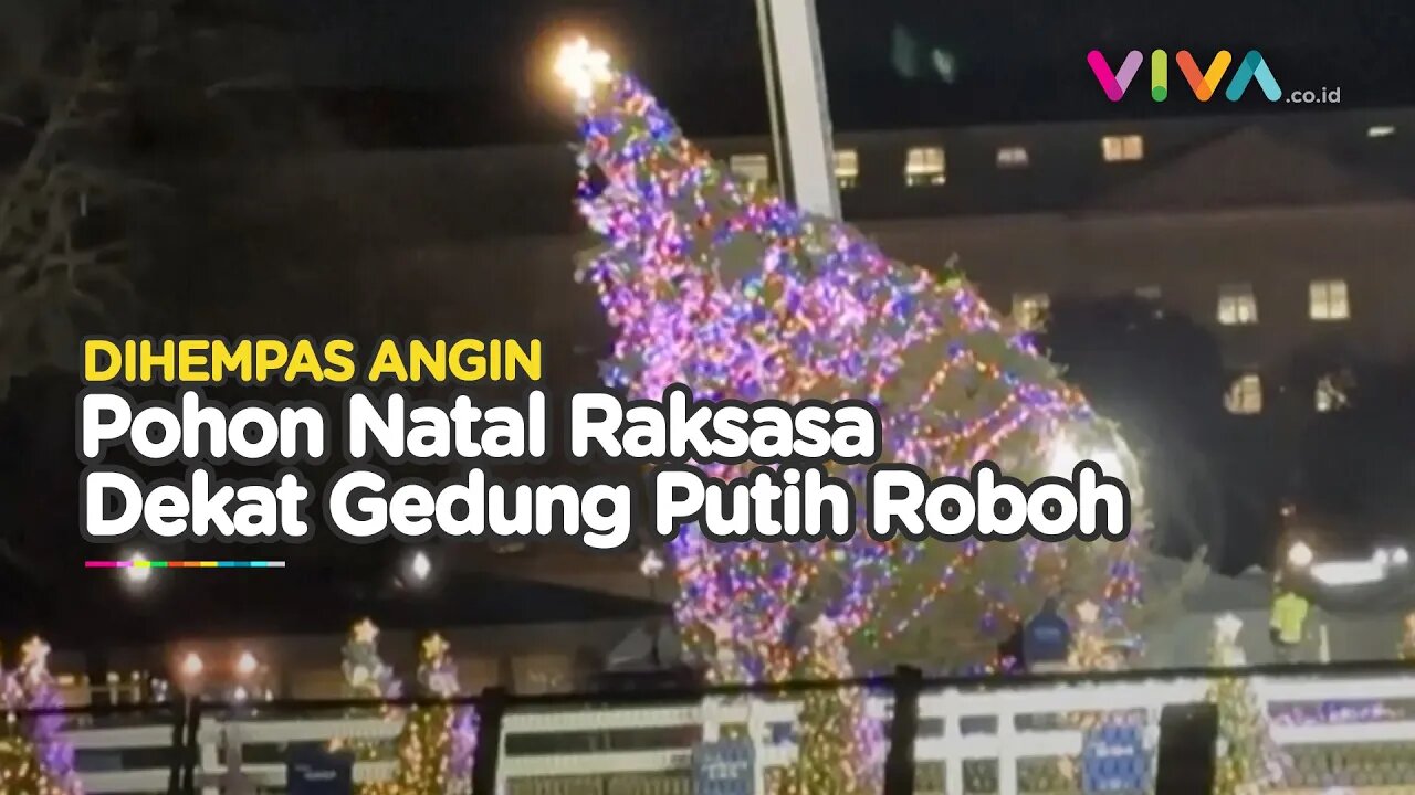 Pohon Natal Nasional Gedung Putih 'Oleng' Ditiup Angin