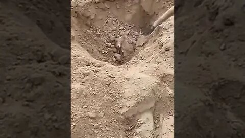 انقاذ ثعلب عالق تحت ثراب