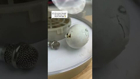 #Duck birth in Glass box in Home #Engineers #Viral #shorts