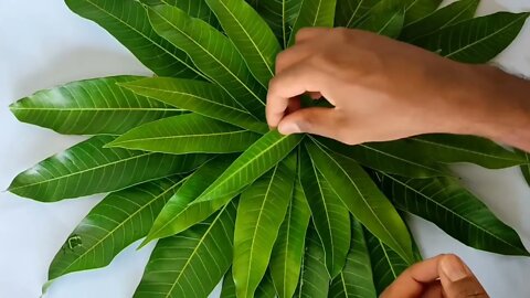 3 Door Wall Mango Leaves Decoration ideas | Mango Leaves Garland | Mango leaves Festival Decor