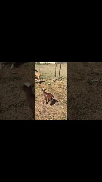 The babies father keeps escaping