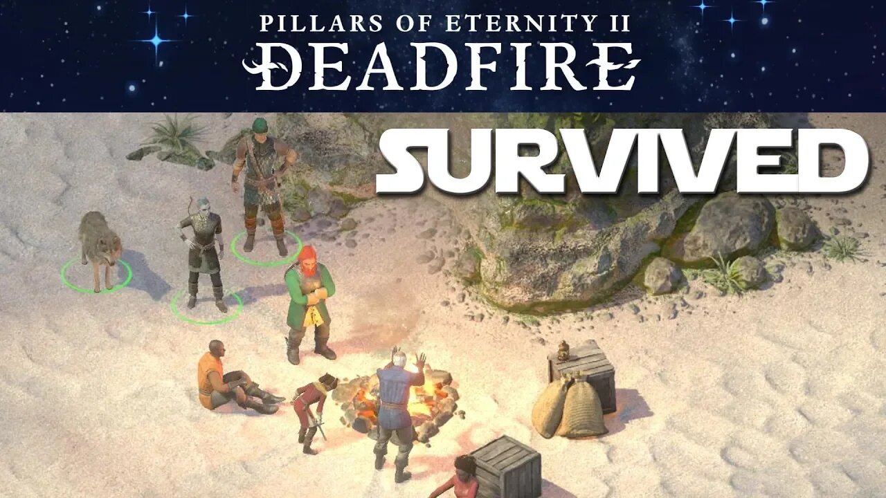 Pillars of Eternity II: Deadfire ep 2 - Island Cave Of Pirates