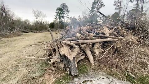 End of 2022 land clearing update with tractor action