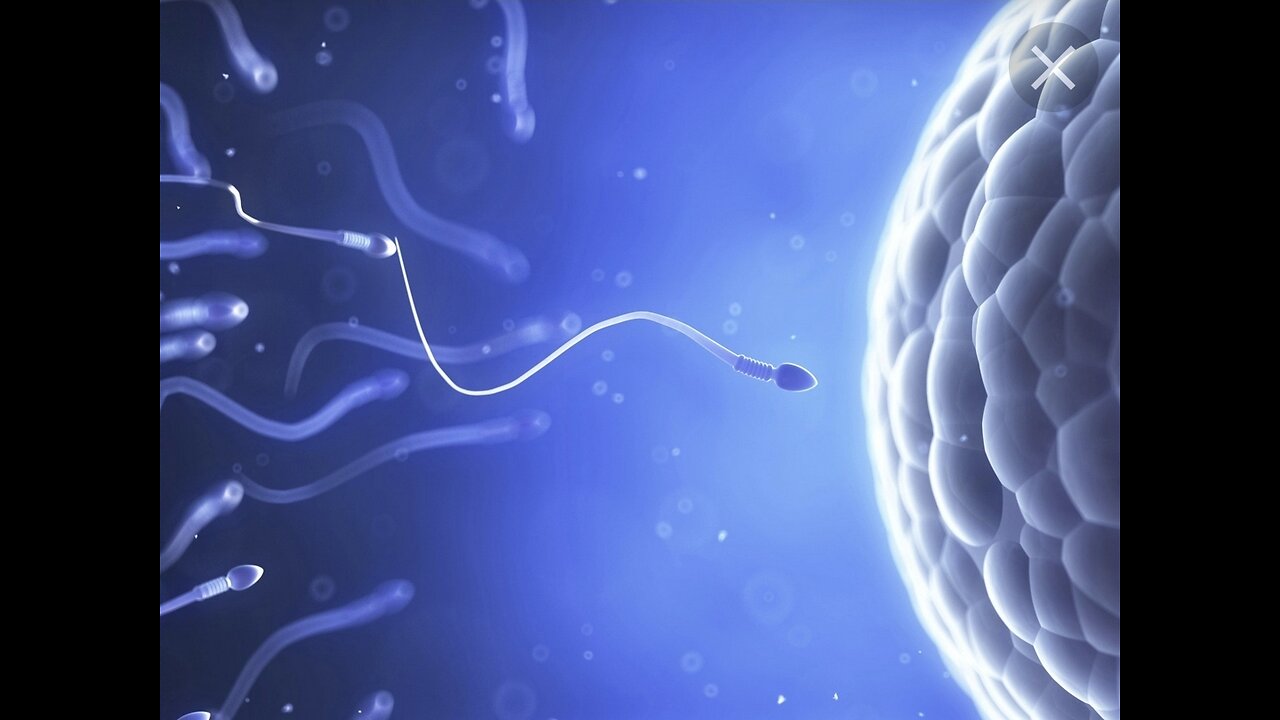 THE WAR ON SPERM AND FRUITILITY #FUCKtheJAB