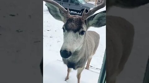 Imagine Waking Up Like This Tiktok mayrakite