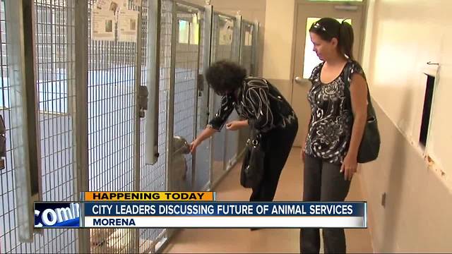 San Diego leaders to discuss future of animal services