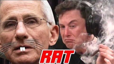 Lefty Guinea Pigs Upset that Elon Continues To Call Fauci a Murderer On X | The Salty Cracker