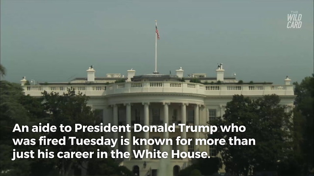 Watch: Fired Trump Aide's Name Might Be Familiar to College Football Fans
