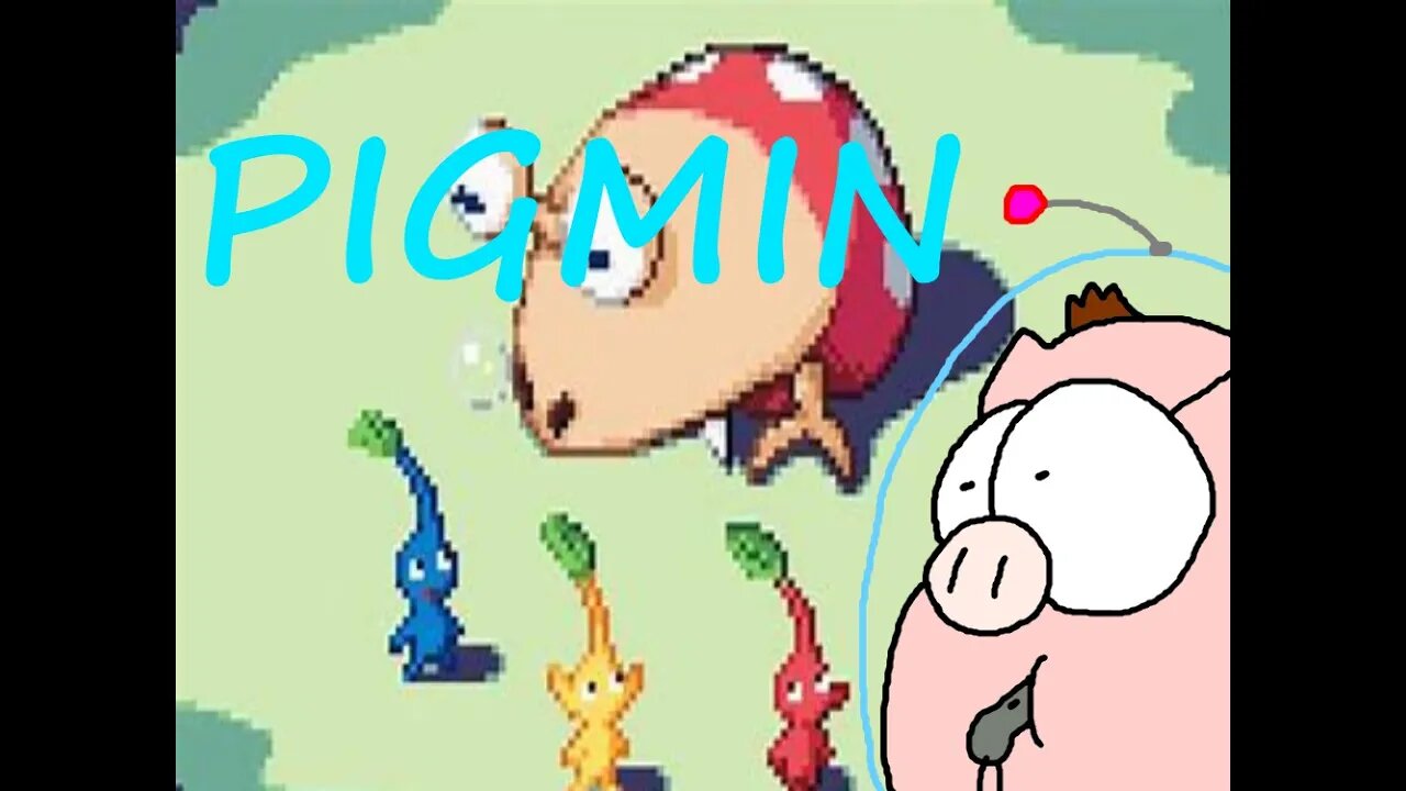 Pigmin