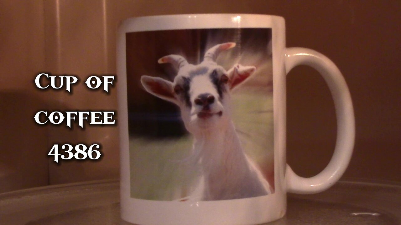 cup of coffee 4386---Idiots Amongst Us: Death by Cow (*Salty Language)