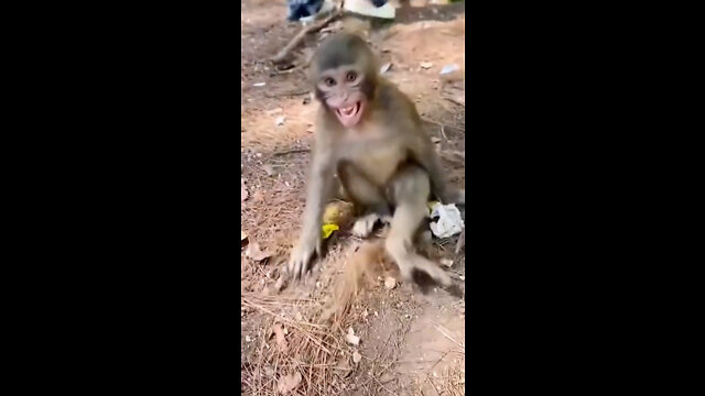 Who the hell are you?