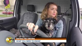 Distracted Driving Month