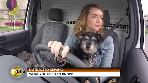 Distracted Driving Month