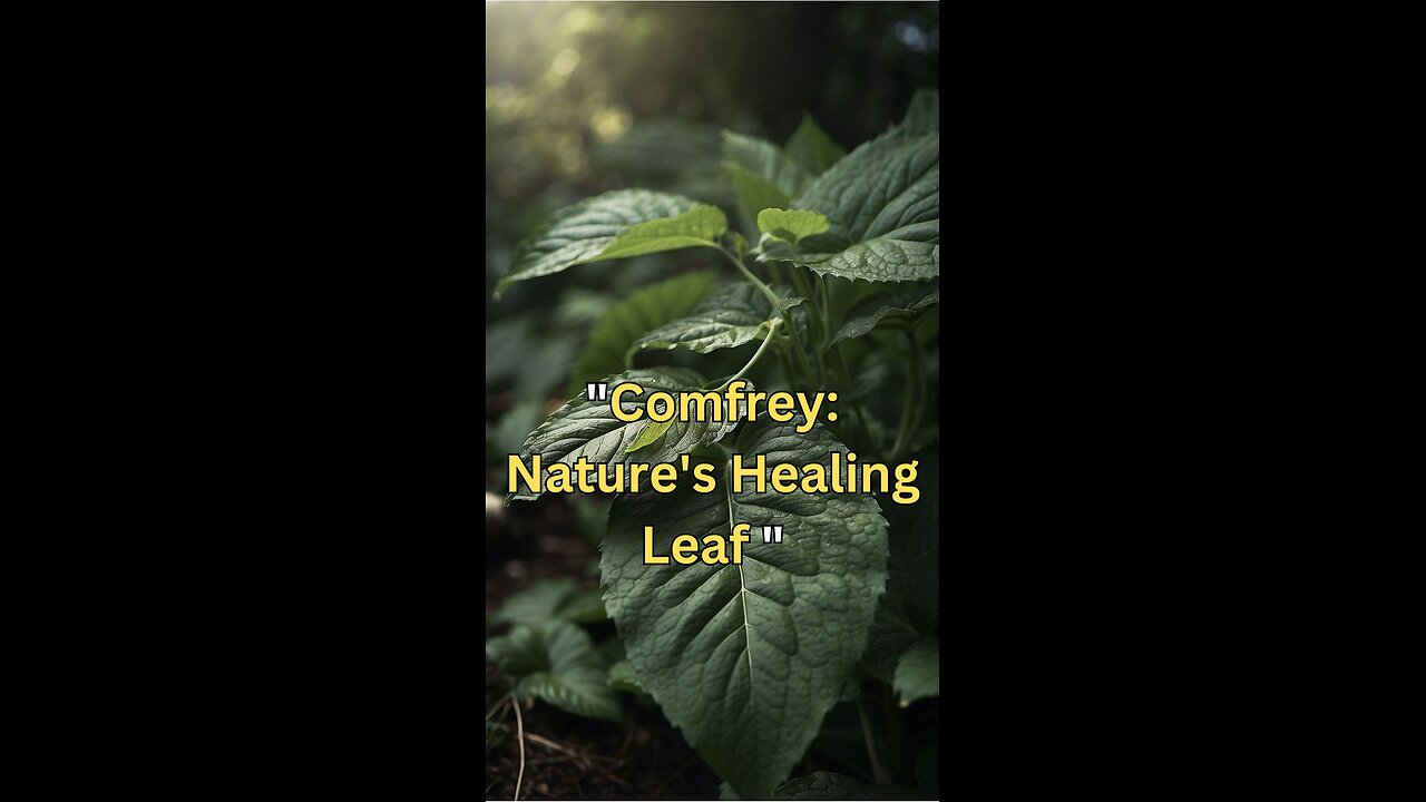 "Comfrey Chronicles: Nature's Answer to Wound Care"