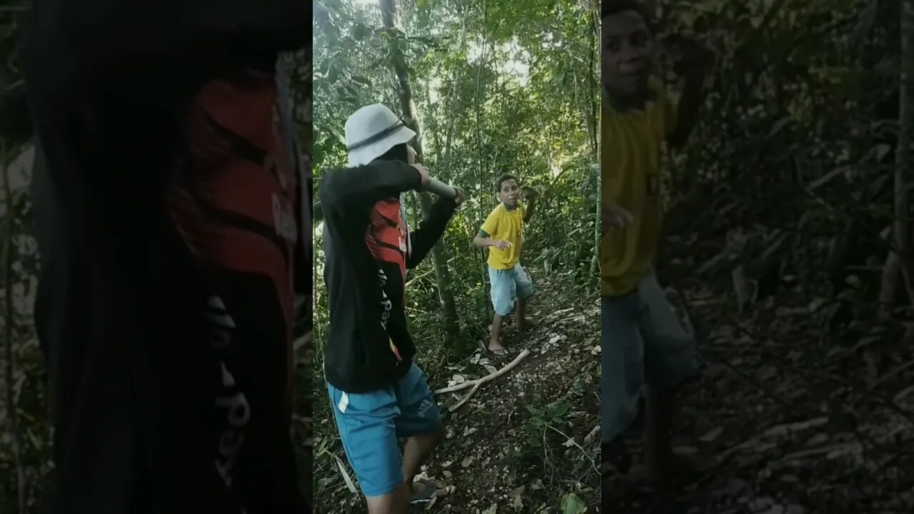 ele queria da uma pedrada no Fiscal por causa de um passarinho 🥺 😱😱😱#shorts_