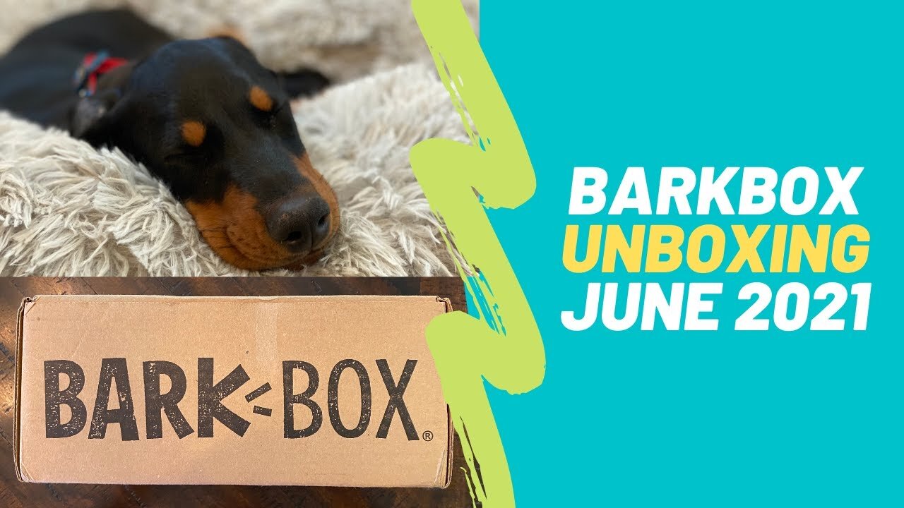 BarkBox Opening