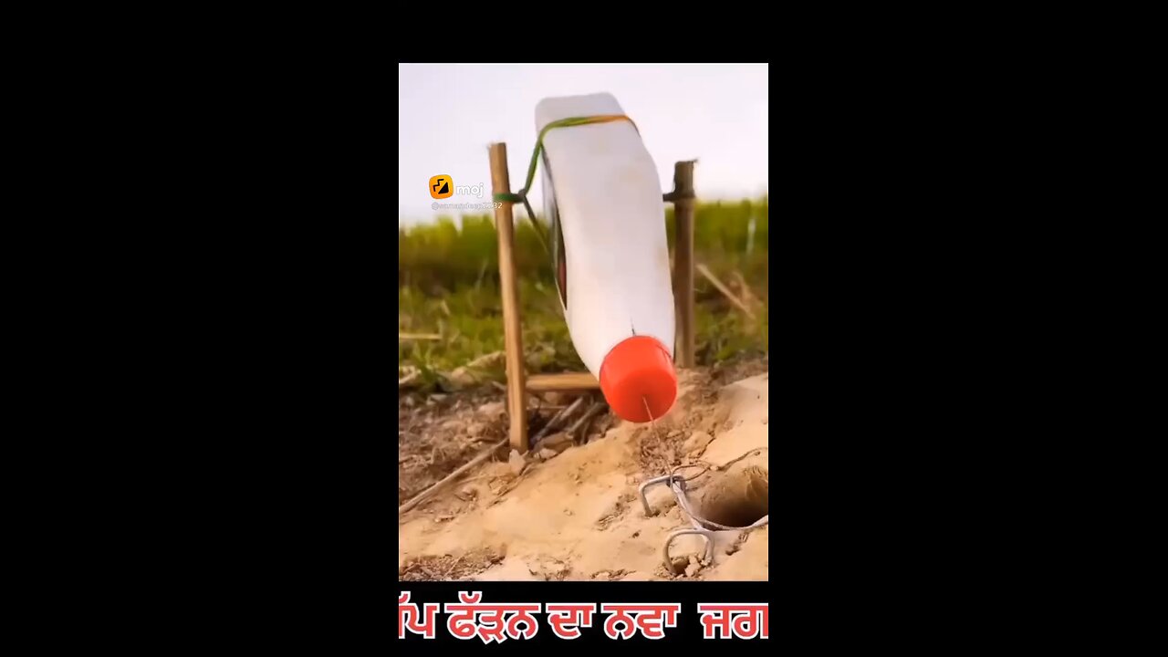 snake Trape