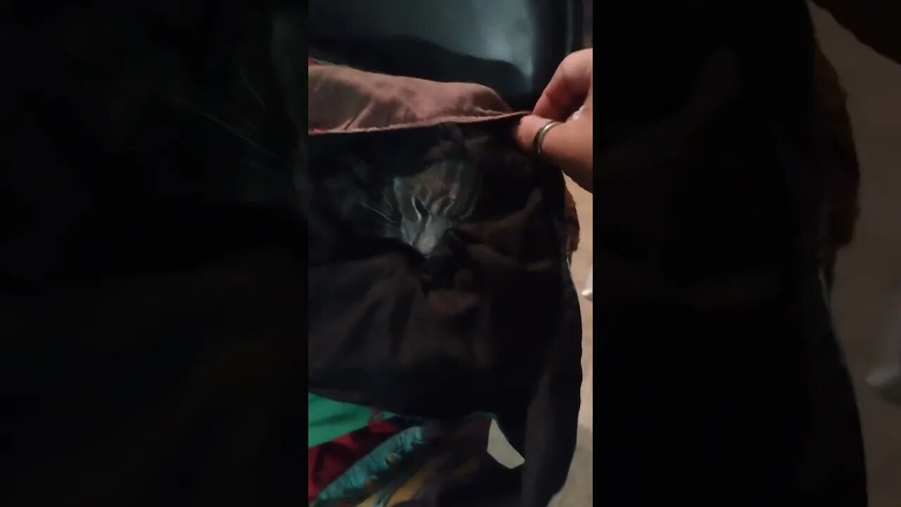 KITTY HAVE HIS OWN HOUSE? HIS CRIB? CUSTOM DOMICILE?