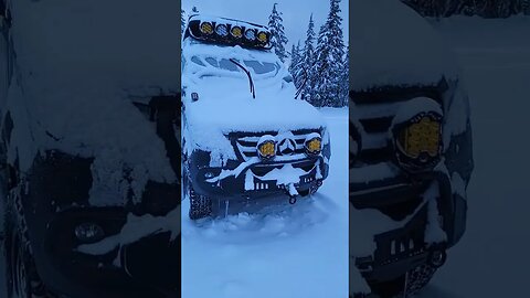 Did our snowboards survive the night?